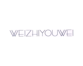 WEIZHIYOUWEI商标原图 第25类服装鞋帽