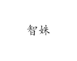 智姝商标原图 第25类服装鞋帽