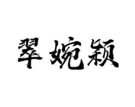 翠婉颖商标原图 第25类服装鞋帽