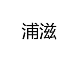 浦滋商标原图 第25类服装鞋帽