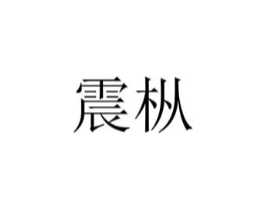 震枞商标原图 第25类服装鞋帽