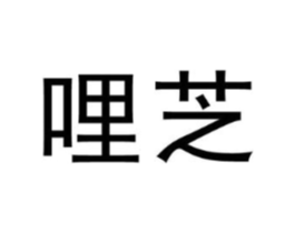 哩芝商标原图 第25类服装鞋帽