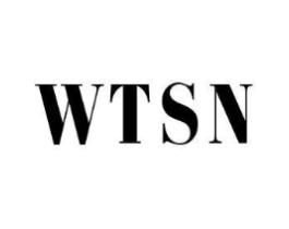 WTSN商标原图 第25类服装鞋帽