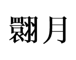 翾月商标原图 第25类服装鞋帽