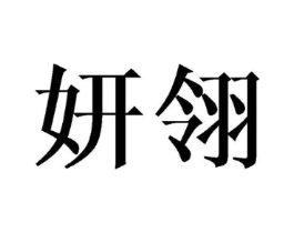 妍翎商标原图 第25类服装鞋帽