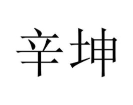 辛坤商标原图 第25类服装鞋帽