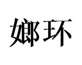 嫏环商标原图 第25类服装鞋帽