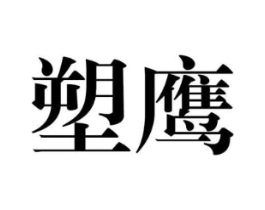 塑鹰商标原图 第25类服装鞋帽