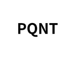 PQNT商标原图 第25类服装鞋帽