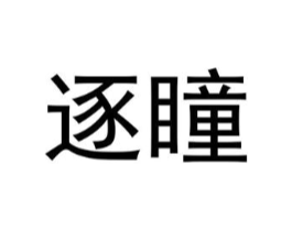 逐瞳商标原图 第25类服装鞋帽