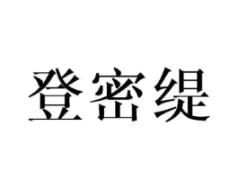 登密缇商标原图 第25类服装鞋帽