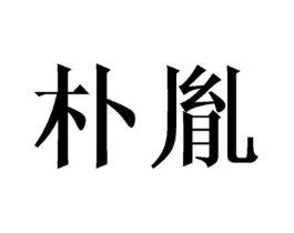 朴胤商标原图 第25类服装鞋帽