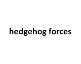 HEDGEHOG FORCES商标原图 第25类服装鞋帽