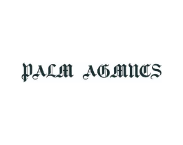 PALM AGMNCS商标原图 第25类服装鞋帽