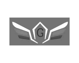 G商标原图 第25类服装鞋帽