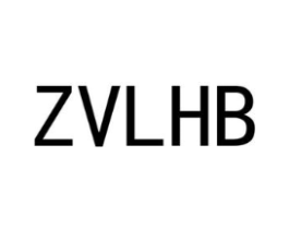 ZVLHB商标原图 第25类服装鞋帽