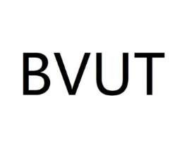 BVUT商标原图 第25类服装鞋帽
