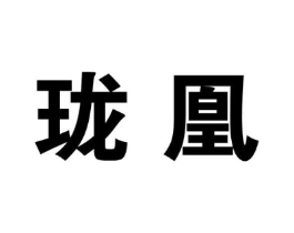 珑凰商标原图 第25类服装鞋帽