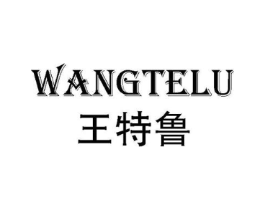 王特鲁商标原图 第25类服装鞋帽