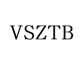 VSZTB商标原图 第25类服装鞋帽