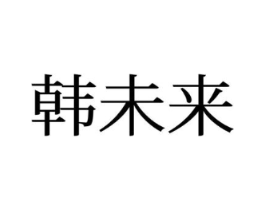 韩未来商标原图 第25类服装鞋帽
