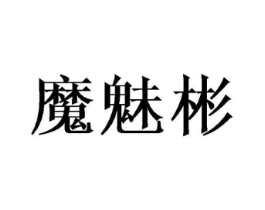 魔魅彬商标原图 第25类服装鞋帽