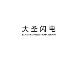 大圣闪电商标原图 第25类服装鞋帽