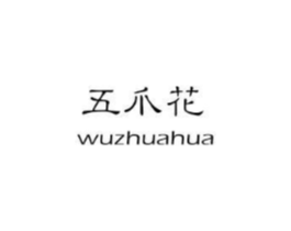 五爪花商标原图 第25类服装鞋帽