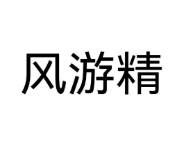 风游精商标原图 第25类服装鞋帽