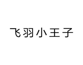 飞羽小王子商标原图 第25类服装鞋帽