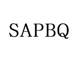 SAPBQ商标原图 第25类服装鞋帽