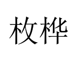 枚桦商标原图 第25类服装鞋帽