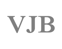 VJB商标原图 第25类服装鞋帽