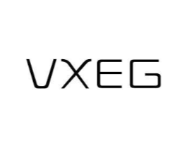 VXEG商标原图 第25类服装鞋帽