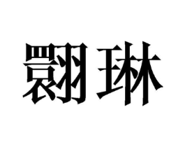 翾琳商标原图 第25类服装鞋帽