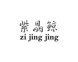 紫晶鲸商标原图 第25类服装鞋帽
