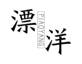 漂洋商标原图 第25类服装鞋帽