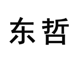东哲商标原图 第25类服装鞋帽