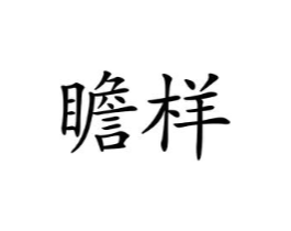 瞻样商标原图 第25类服装鞋帽