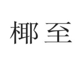椰至商标原图 第25类服装鞋帽