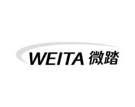 微踏商标原图 第25类服装鞋帽
