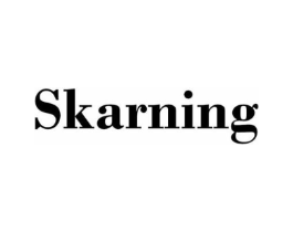 SKARNING商标原图 第25类服装鞋帽