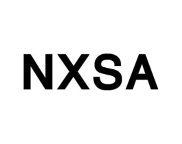 NXSA商标原图 第25类服装鞋帽