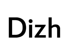 DIZH商标原图 第25类服装鞋帽