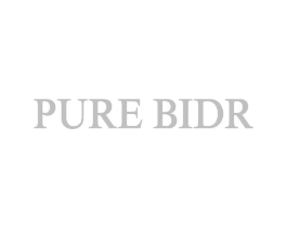 PURE BIDR商标原图 第25类服装鞋帽
