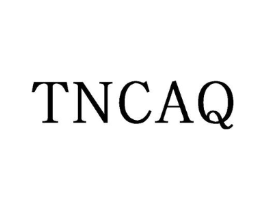 TNCAQ商标原图 第25类服装鞋帽