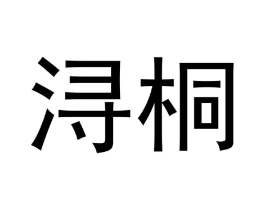 浔桐商标原图 第25类服装鞋帽