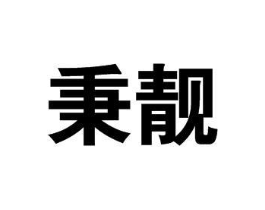 秉靓商标原图 第25类服装鞋帽