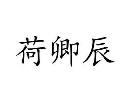 荷卿辰商标原图 第25类服装鞋帽