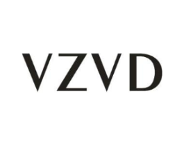 VZVD商标原图 第25类服装鞋帽